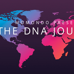 Compelling Marketing